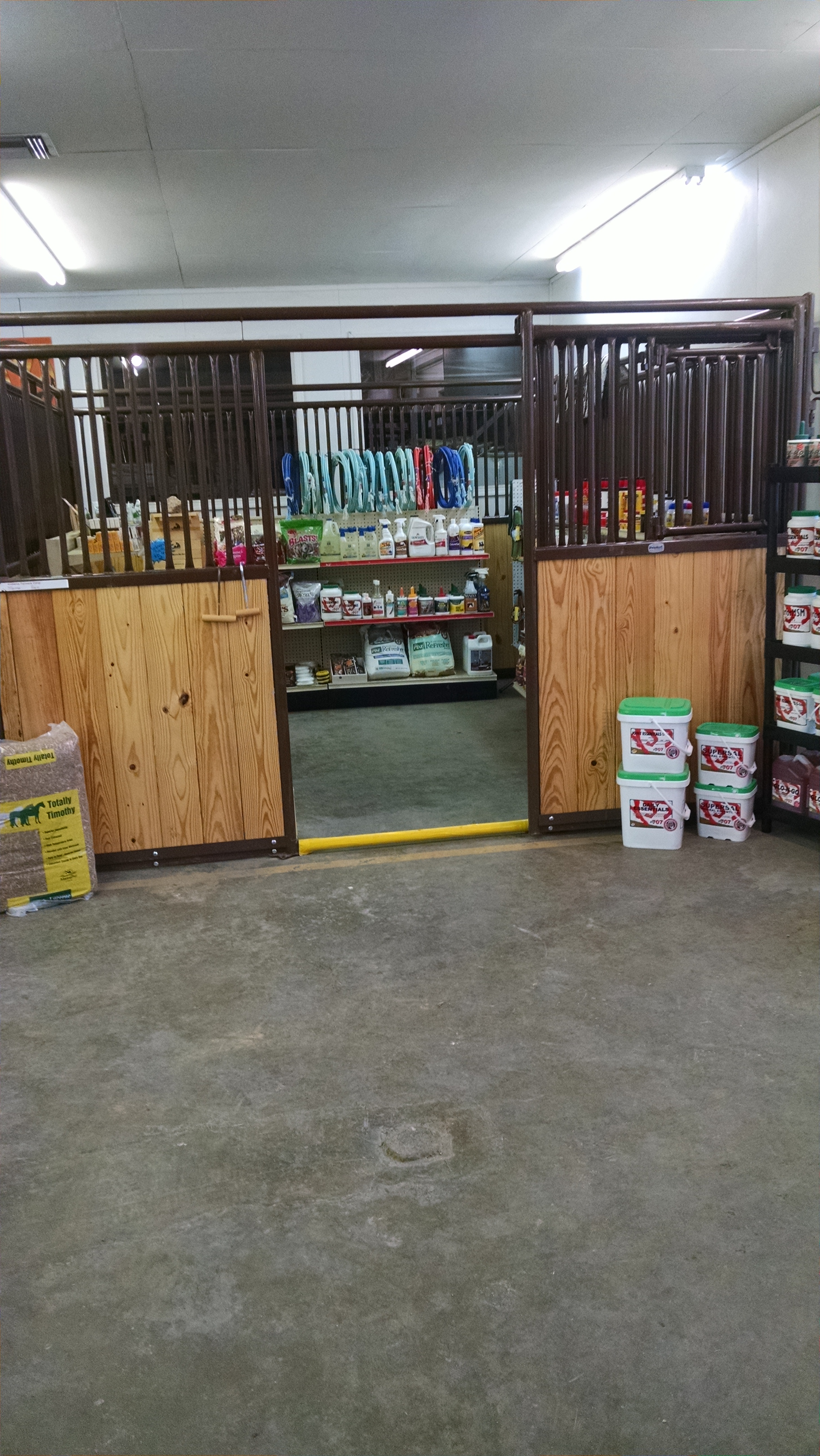 Indoor Equine Display